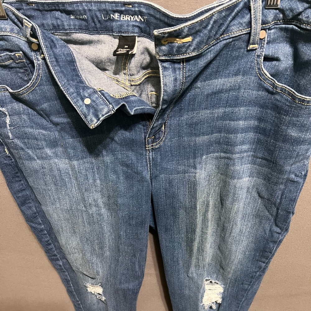 Lane Bryant Blue Denim Skinny Jeans